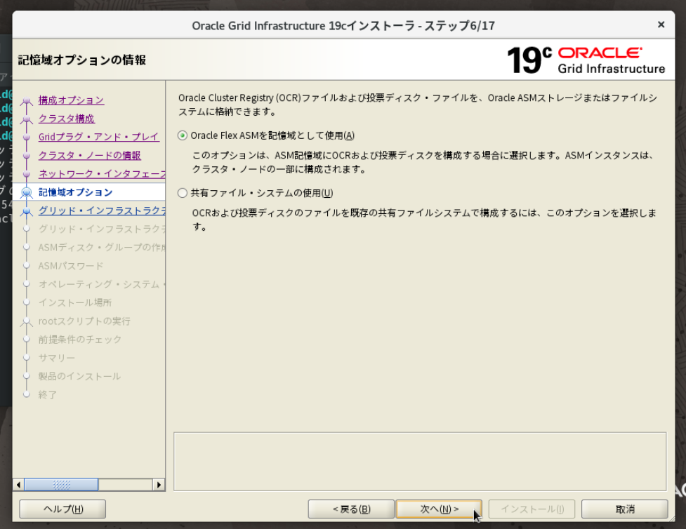 ステップ6 記憶域オプション