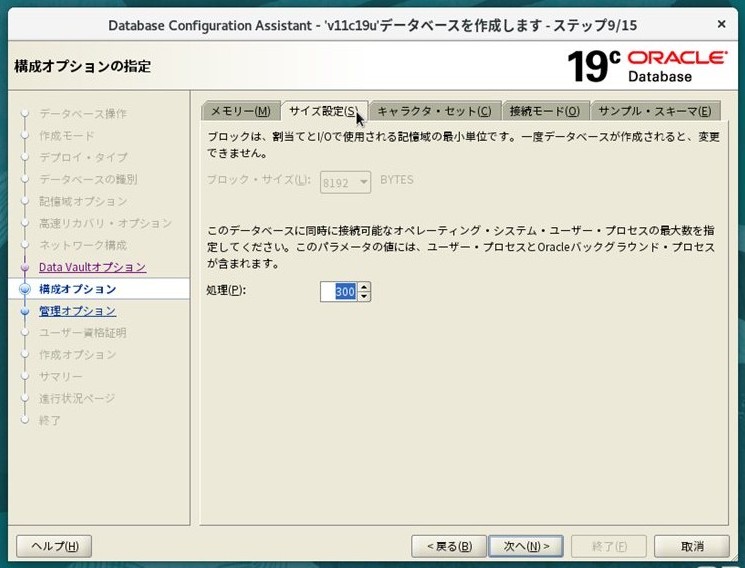 ステップ9 - サイズ設定タブ（処理: 300）